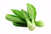 recipes-image