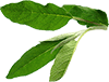 recipes-image