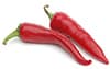 recipes-image