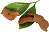 recipes-image