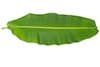 recipes-image