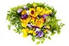 recipes-image