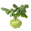 recipes-image