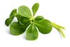 recipes-image